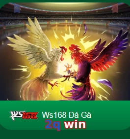 2q win